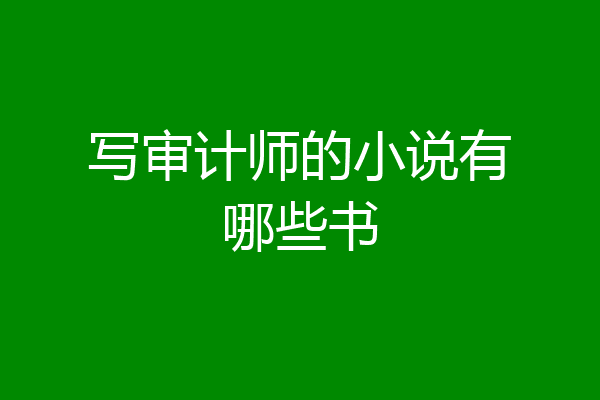 写审计师的小说有哪些书