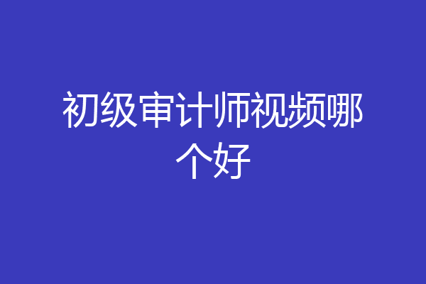 初级审计师视频哪个好