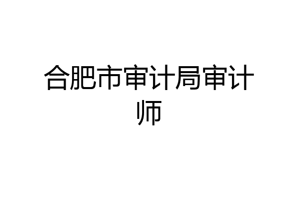 合肥市审计局审计师