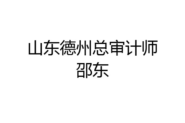 山东德州总审计师邵东