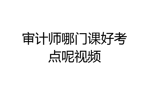 审计师哪门课好考点呢视频