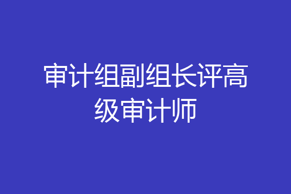 审计组副组长评高级审计师
