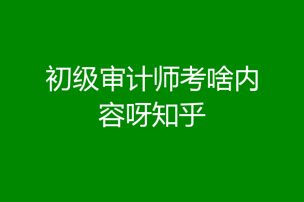 初级审计师考啥内容呀知乎