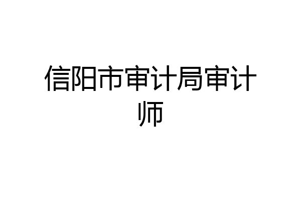 信阳市审计局审计师