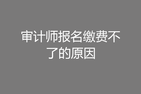 审计师报名缴费不了的原因