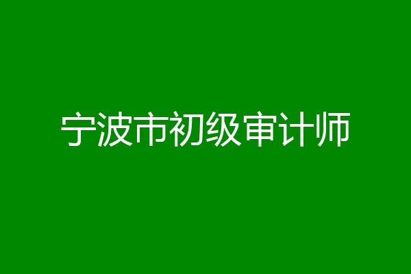 宁波市初级审计师