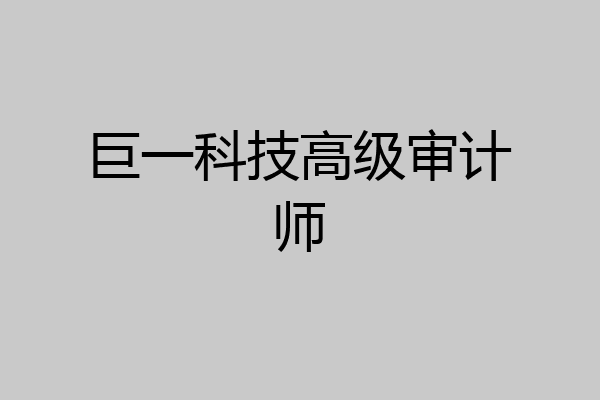 巨一科技高级审计师
