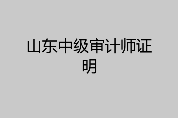 山东中级审计师证明