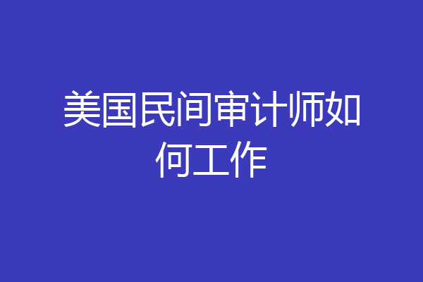 美国民间审计师如何工作