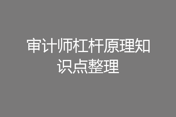 审计师杠杆原理知识点整理