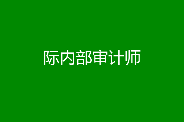 际内部审计师