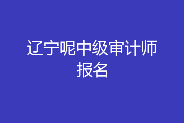 辽宁呢中级审计师报名
