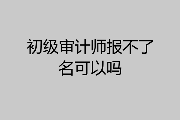 初级审计师报不了名可以吗