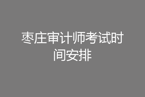 枣庄审计师考试时间安排