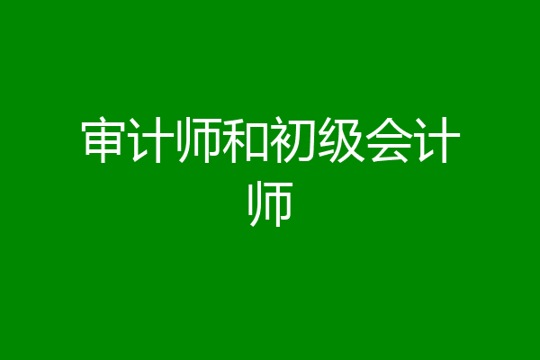 审计师和初级会计师