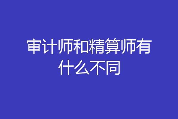 审计师和精算师有什么不同