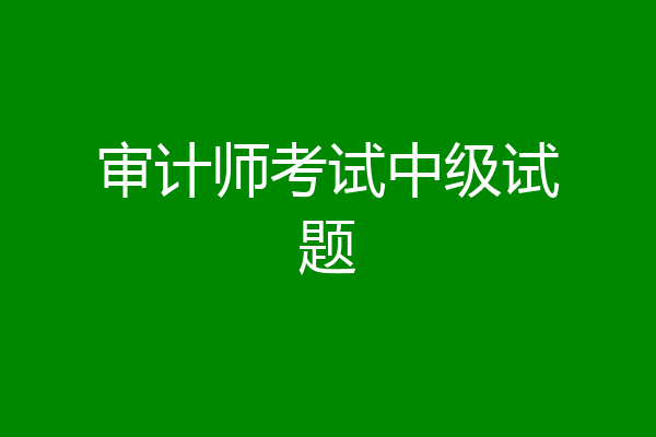 审计师考试中级试题