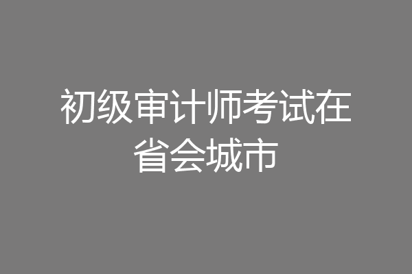 初级审计师考试在省会城市