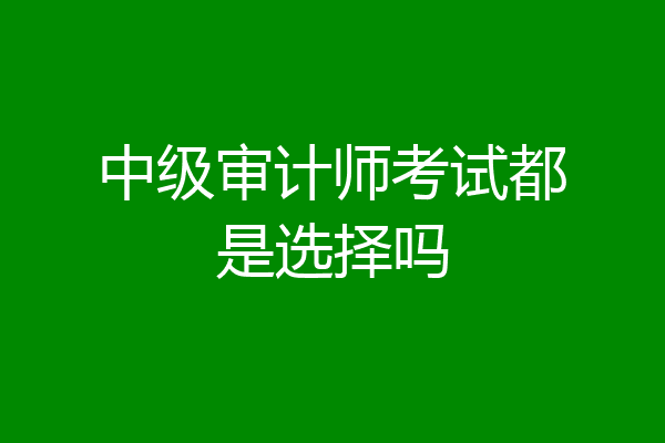 中级审计师考试都是选择吗