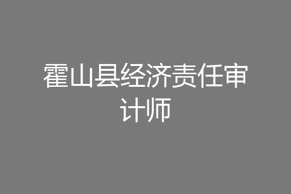 霍山县经济责任审计师