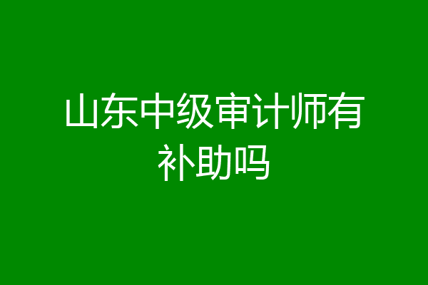 山东中级审计师有补助吗