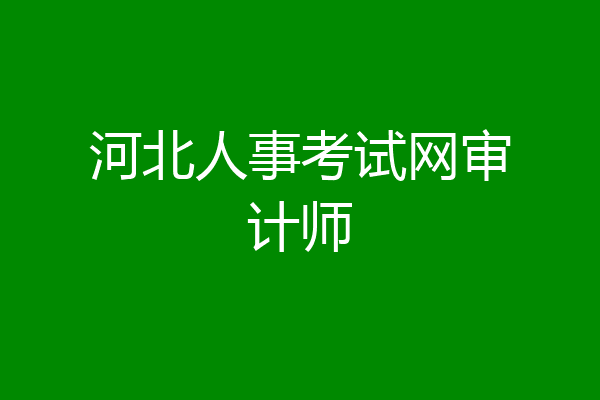 河北人事考试网审计师