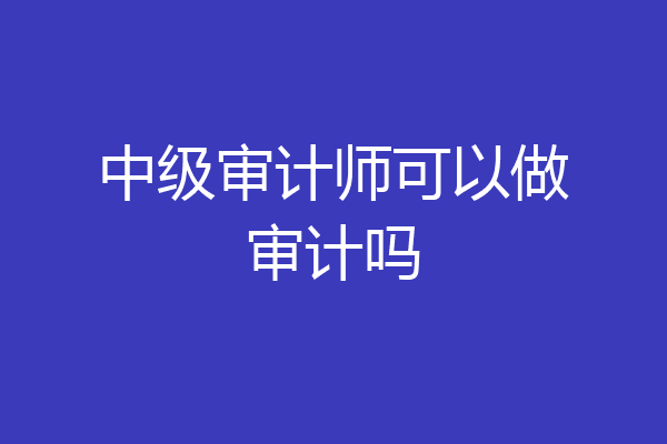 中级审计师可以做审计吗