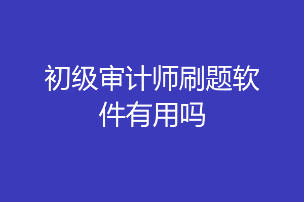 初级审计师刷题软件有用吗