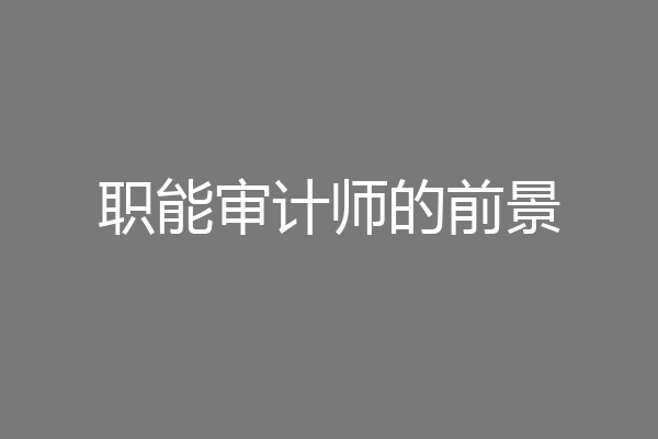 职能审计师的前景
