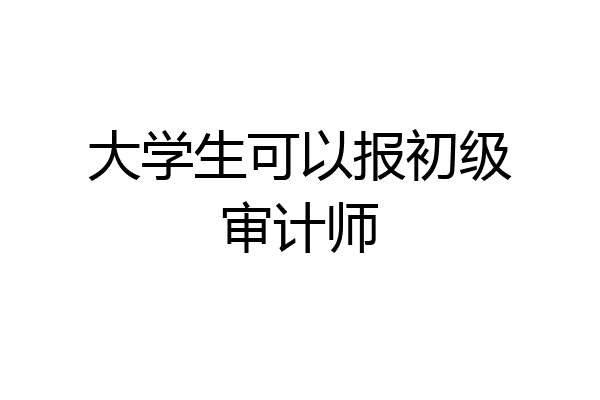 大学生可以报初级审计师