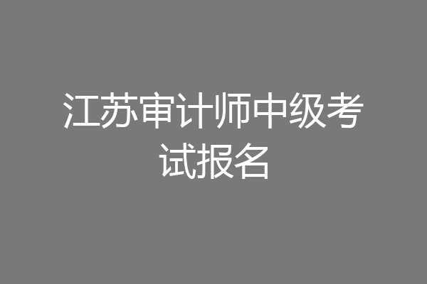 江苏审计师中级考试报名