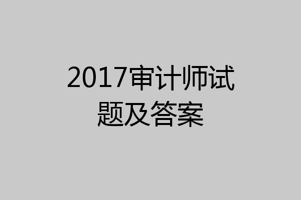 2017审计师试题及答案