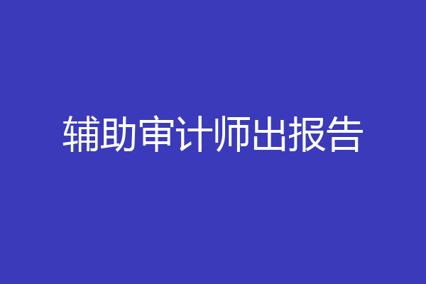辅助审计师出报告