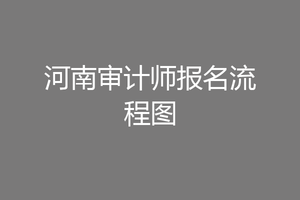 河南审计师报名流程图