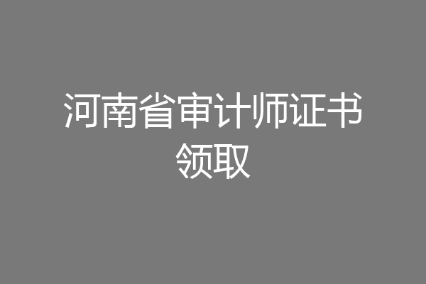 河南省审计师证书领取