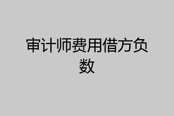 审计师费用借方负数