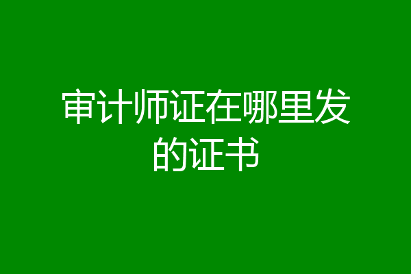 审计师证在哪里发的证书