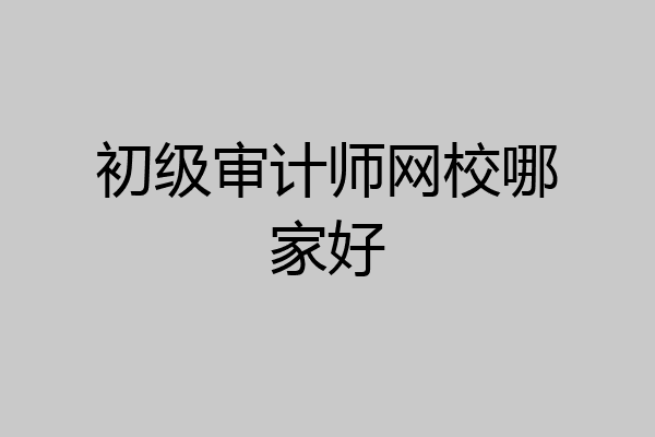 初级审计师网校哪家好