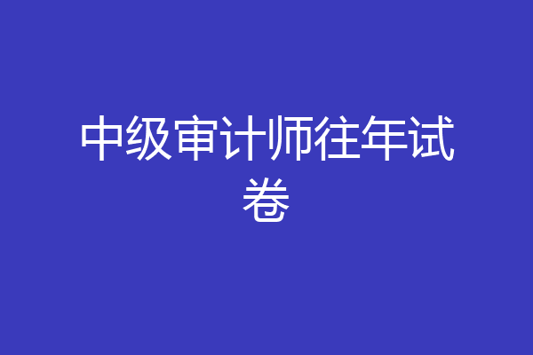 中级审计师往年试卷