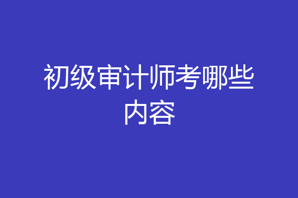 初级审计师考哪些内容