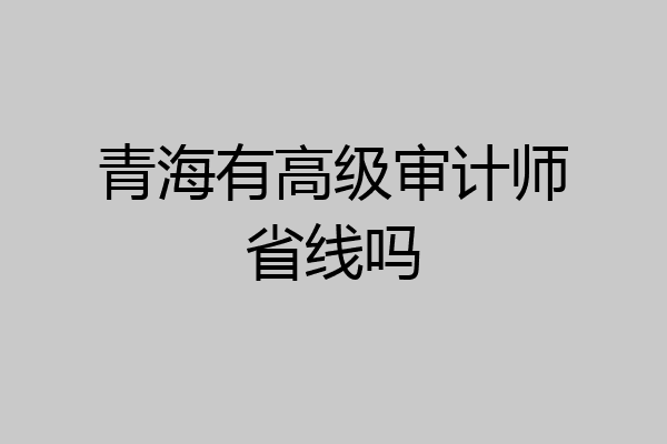 青海有高级审计师省线吗
