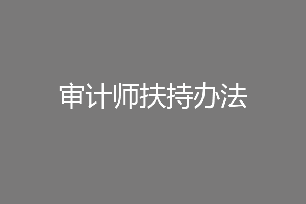 审计师扶持办法