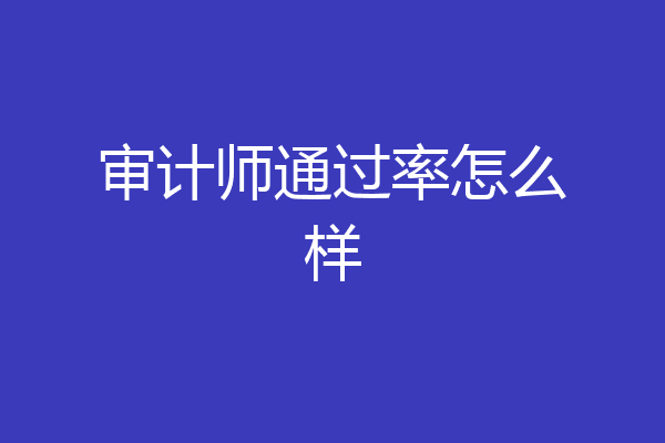审计师通过率怎么样
