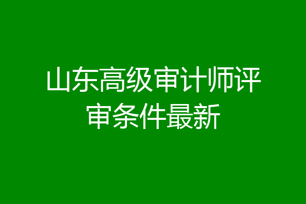 山东高级审计师评审条件最新