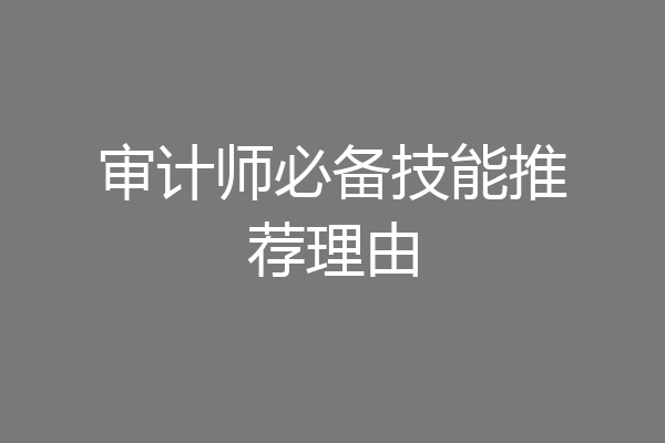 审计师必备技能推荐理由