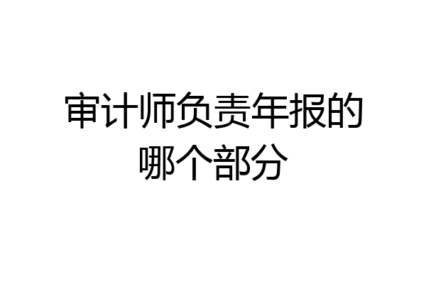 审计师负责年报的哪个部分