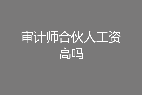 审计师合伙人工资高吗