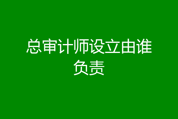总审计师设立由谁负责