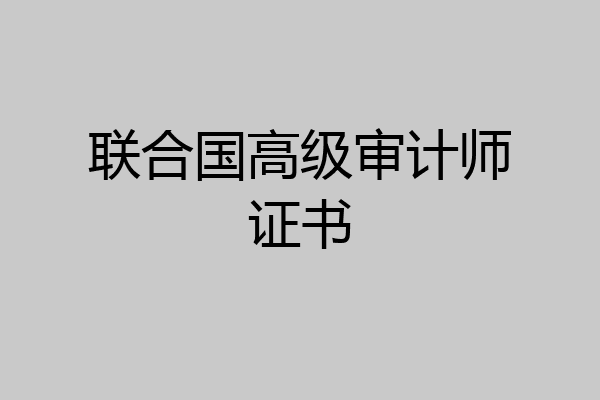 联合国高级审计师证书