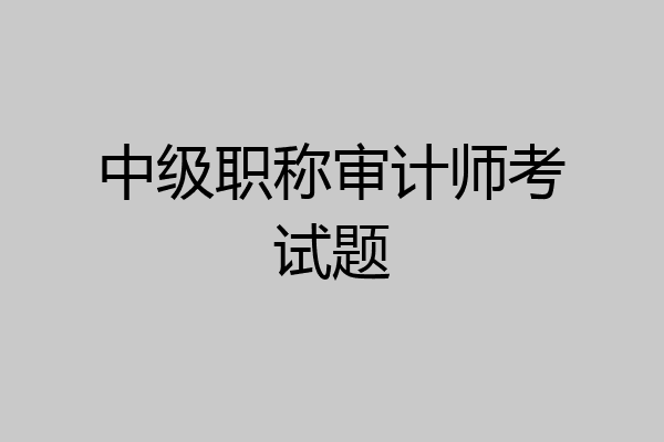 中级职称审计师考试题